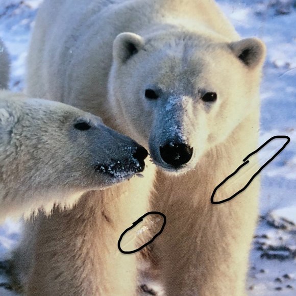 NEW 4 Reader's Digest Children's Books - Picture 12 of 12